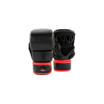 MMA Gloves