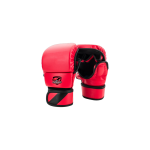 MMA Gloves